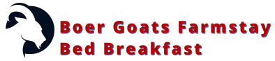Boer Goats Farmstay Bed Breakfast